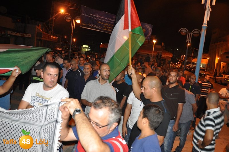 td for gaza lud  (5).JPG